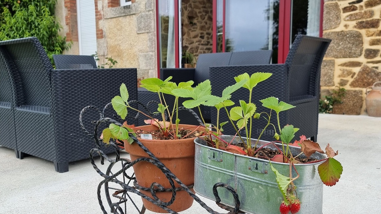 Photo of Outdoor in Le Chatenet-en-Dognon