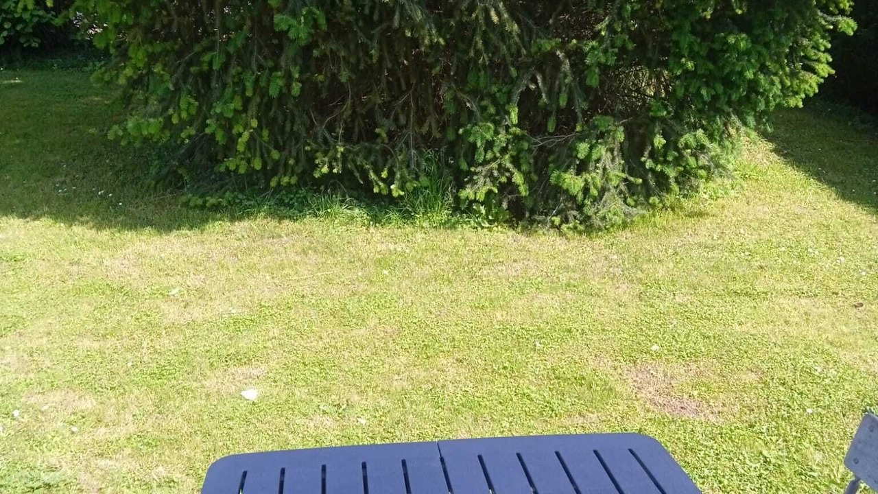 Photo of Outdoor in Thorigny-sur-Oreuse