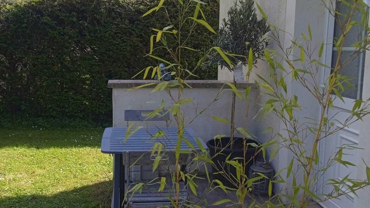 Photo of Outdoor in Thorigny-sur-Oreuse