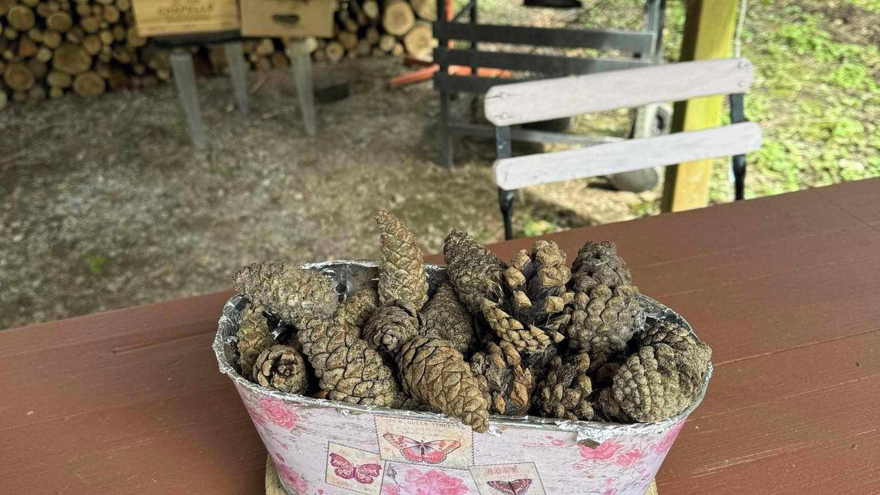 Photo of Outdoor in Canlers