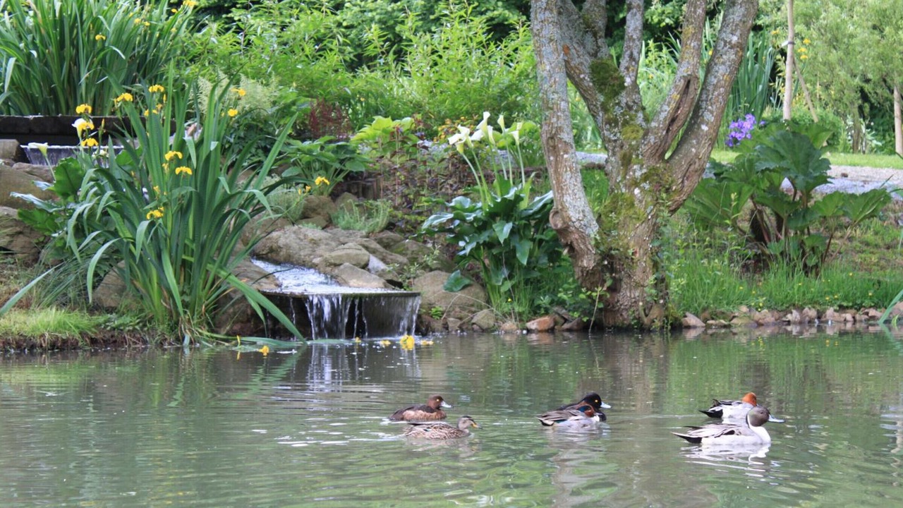 Photo of Outdoor in La Colombe