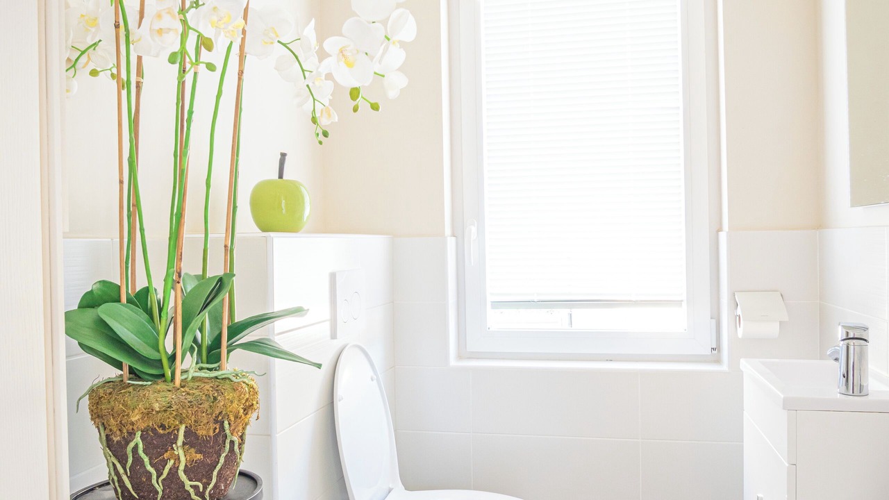 Photo of Bathroom in Paroisse Saint-Quentin Notre-Dame