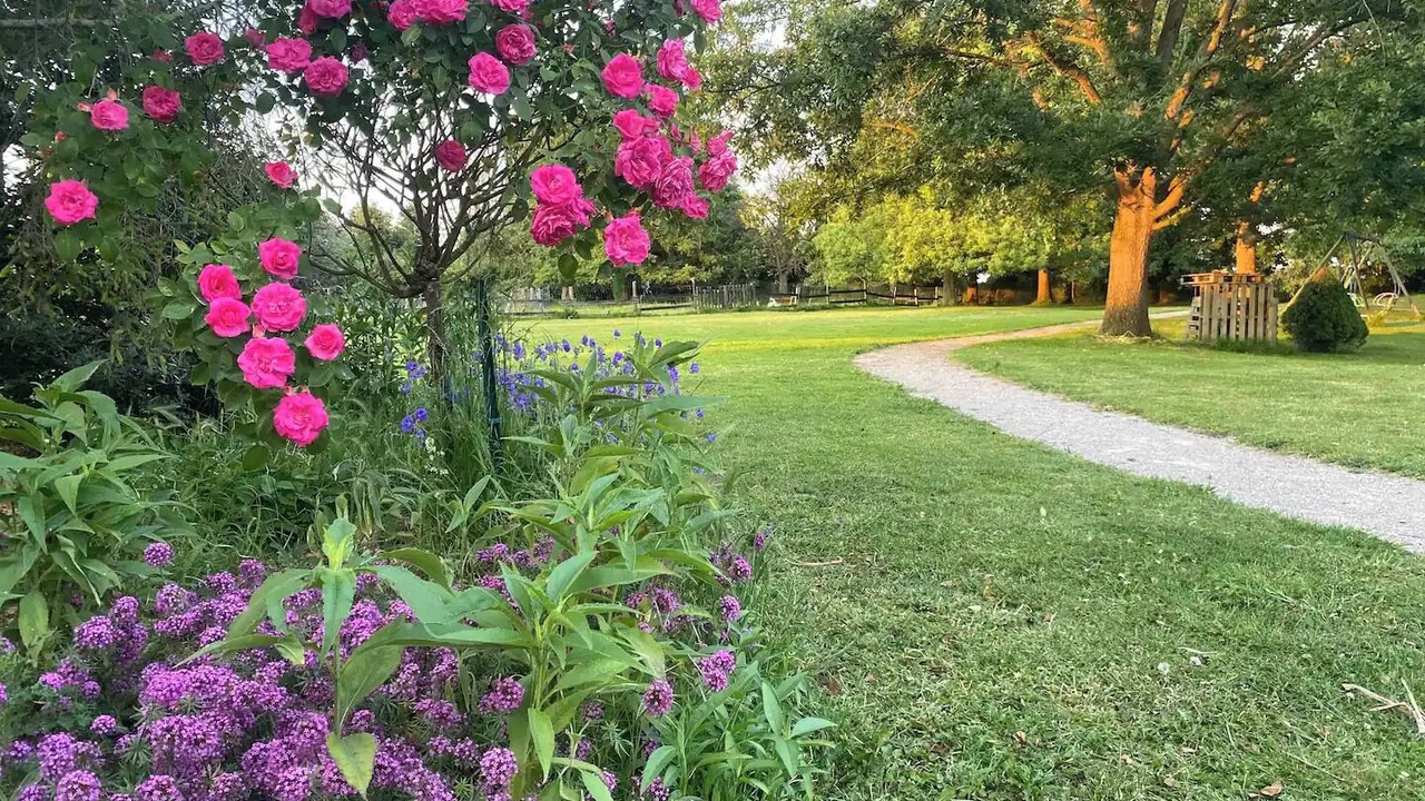 Photo of Outdoor in Houplines