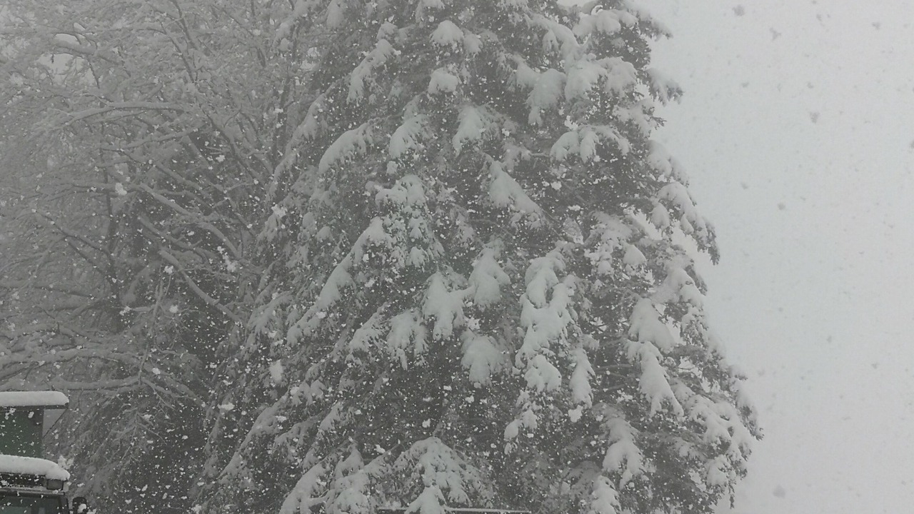 Photo of Outdoor in Fraize