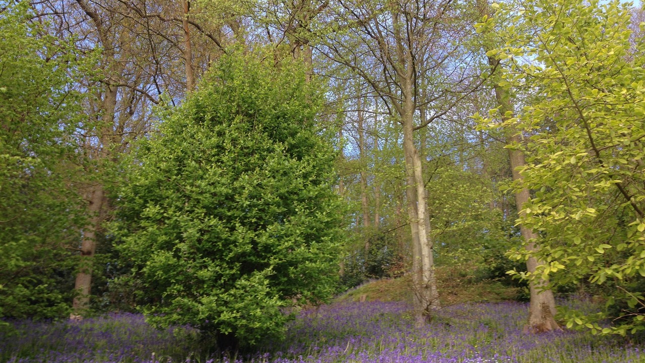 Photo of Outdoor in Sassetot-le-Mauconduit