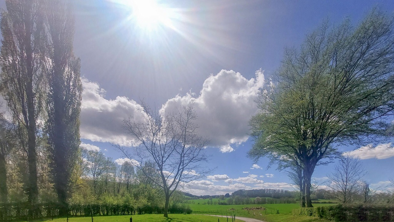 Photo of Others in Maubert-Fontaine