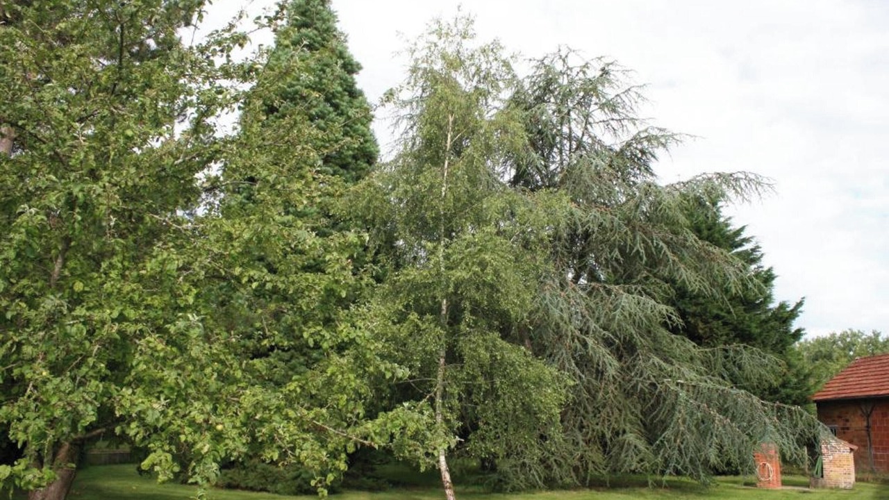 Photo of Outdoor in Souvigny-en-Sologne
