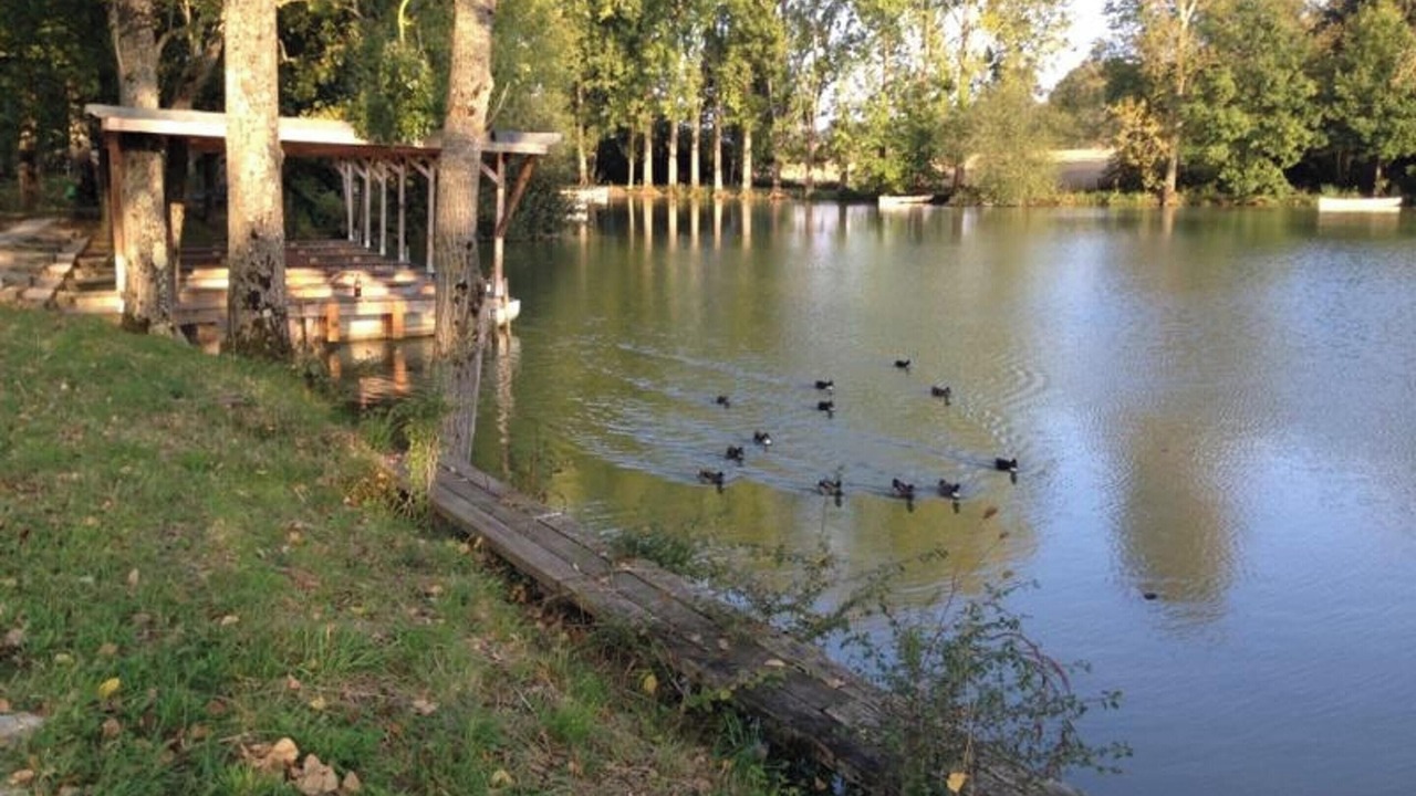 Photo of Outdoor in Courtenay