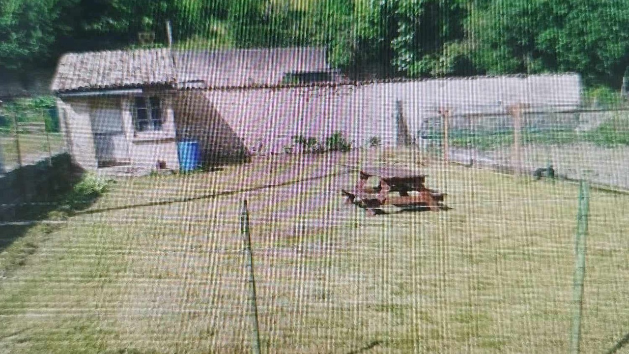 Photo of Outdoor in Vignory