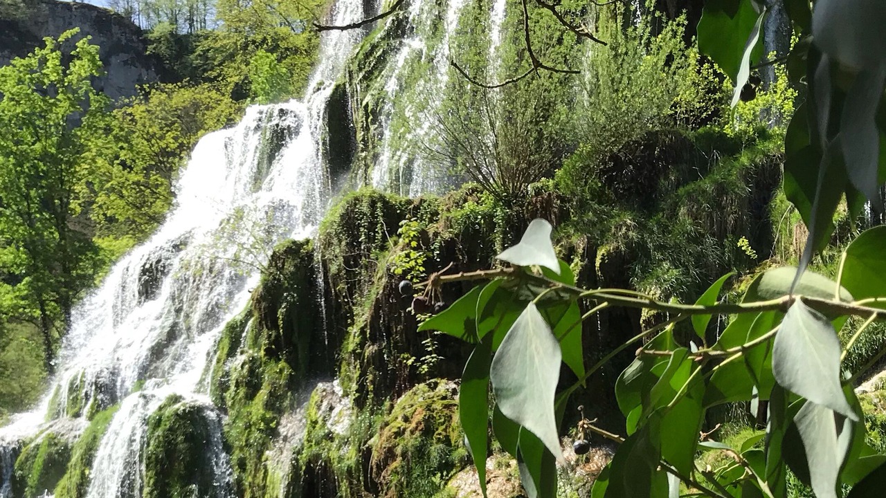Photo of Outdoor in Alieze