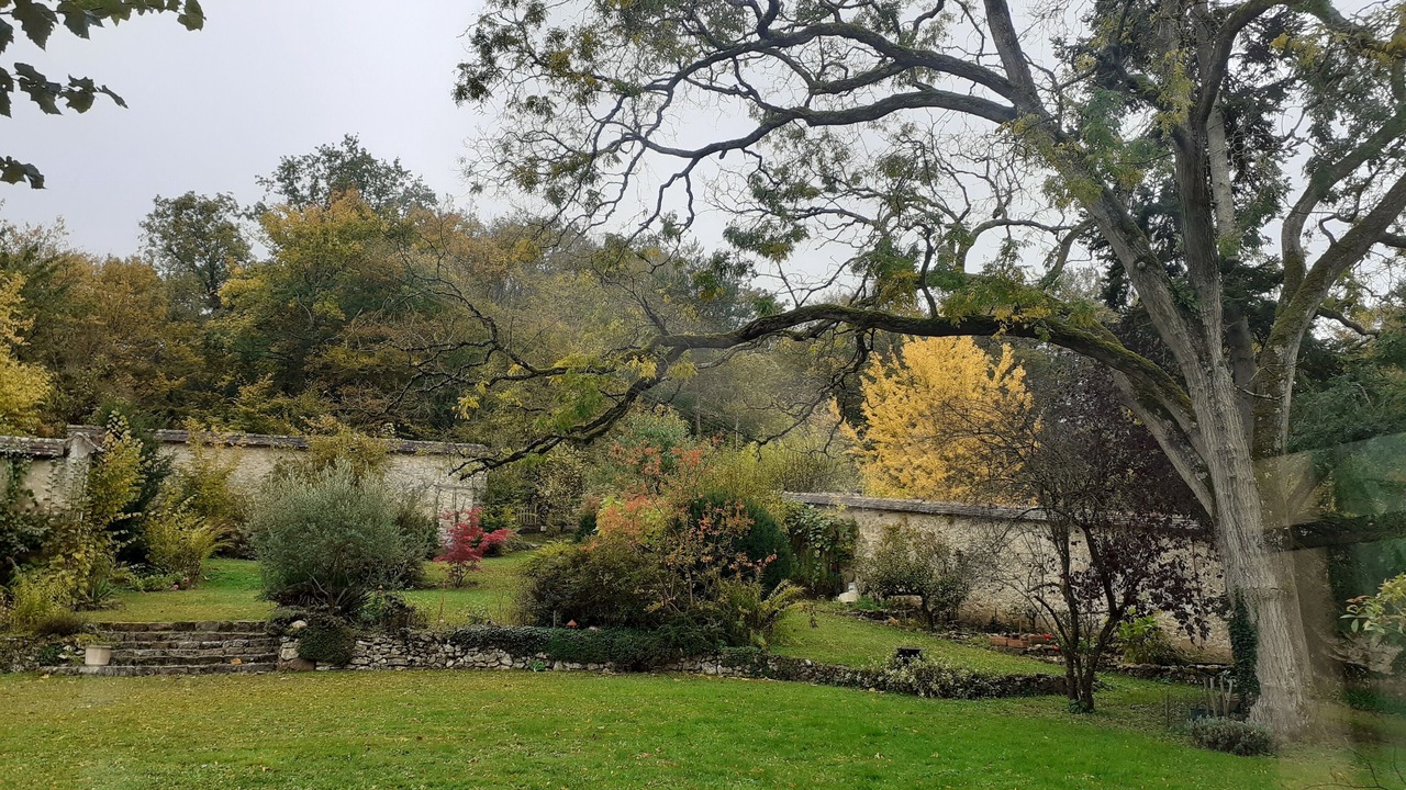 Photo of Outdoor in Samoreau