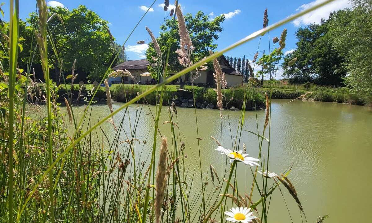 Photo of Outdoor in La Chapelle-Thecle