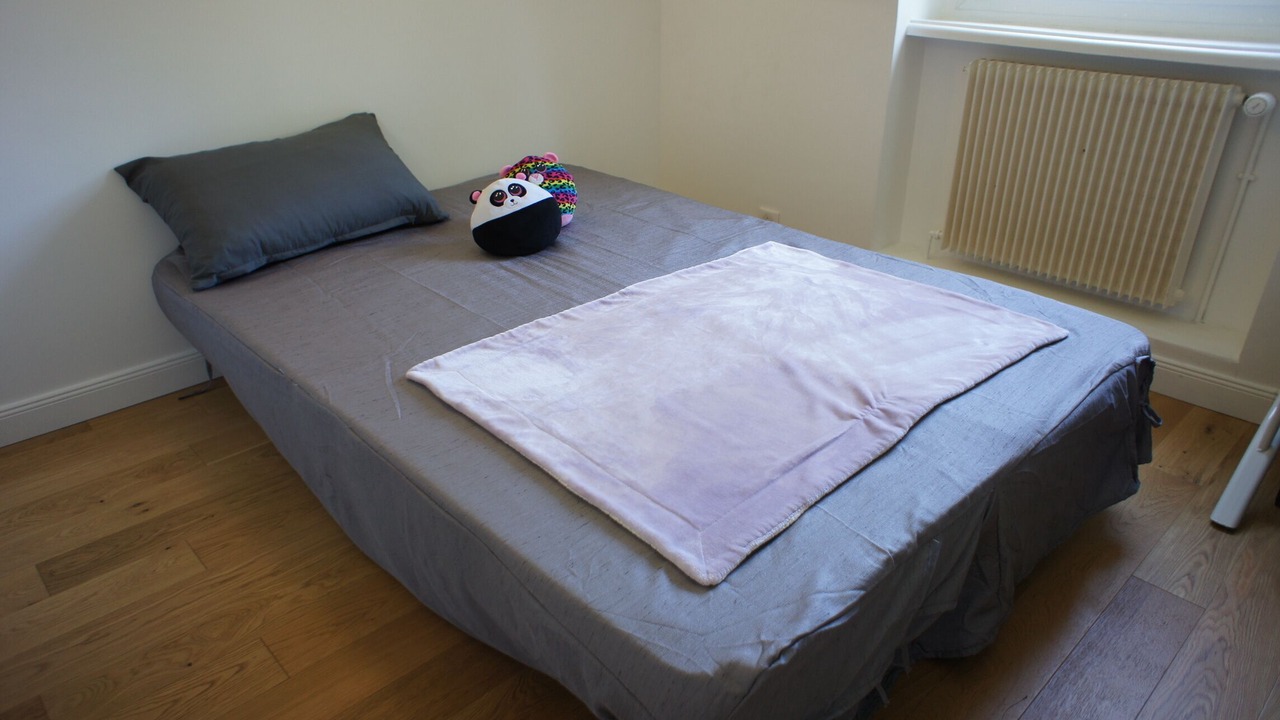 Photo of Bedroom in Le Vesinet
