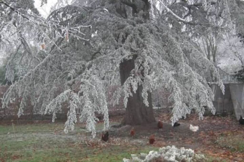 Photo of Outdoor in Barizey