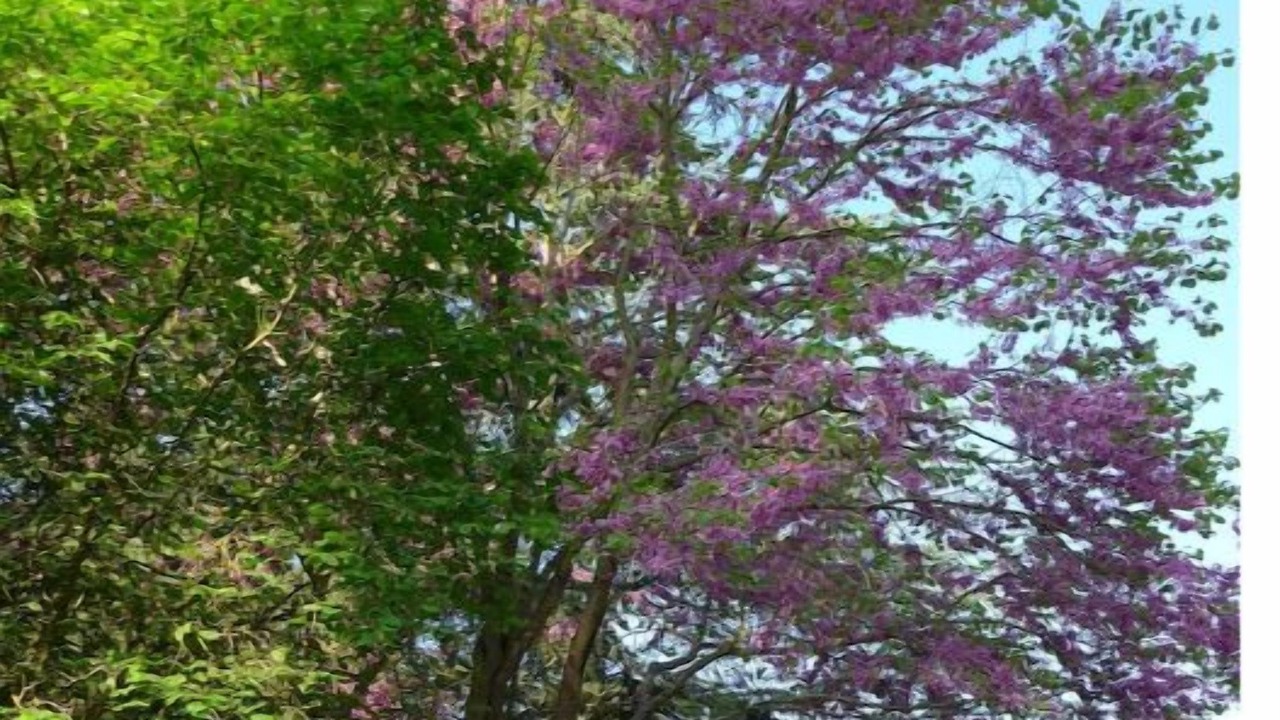 Photo of Outdoor in Barizey