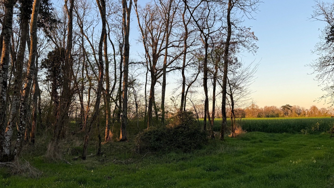 Photo of Outdoor in Saint-Gondon