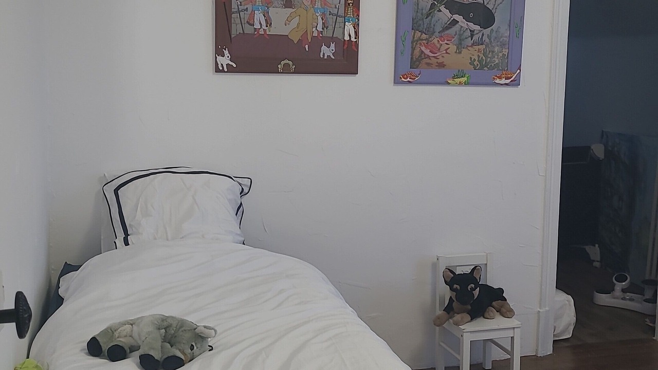 Photo of Bedroom in Villiers-en-Desœuvre