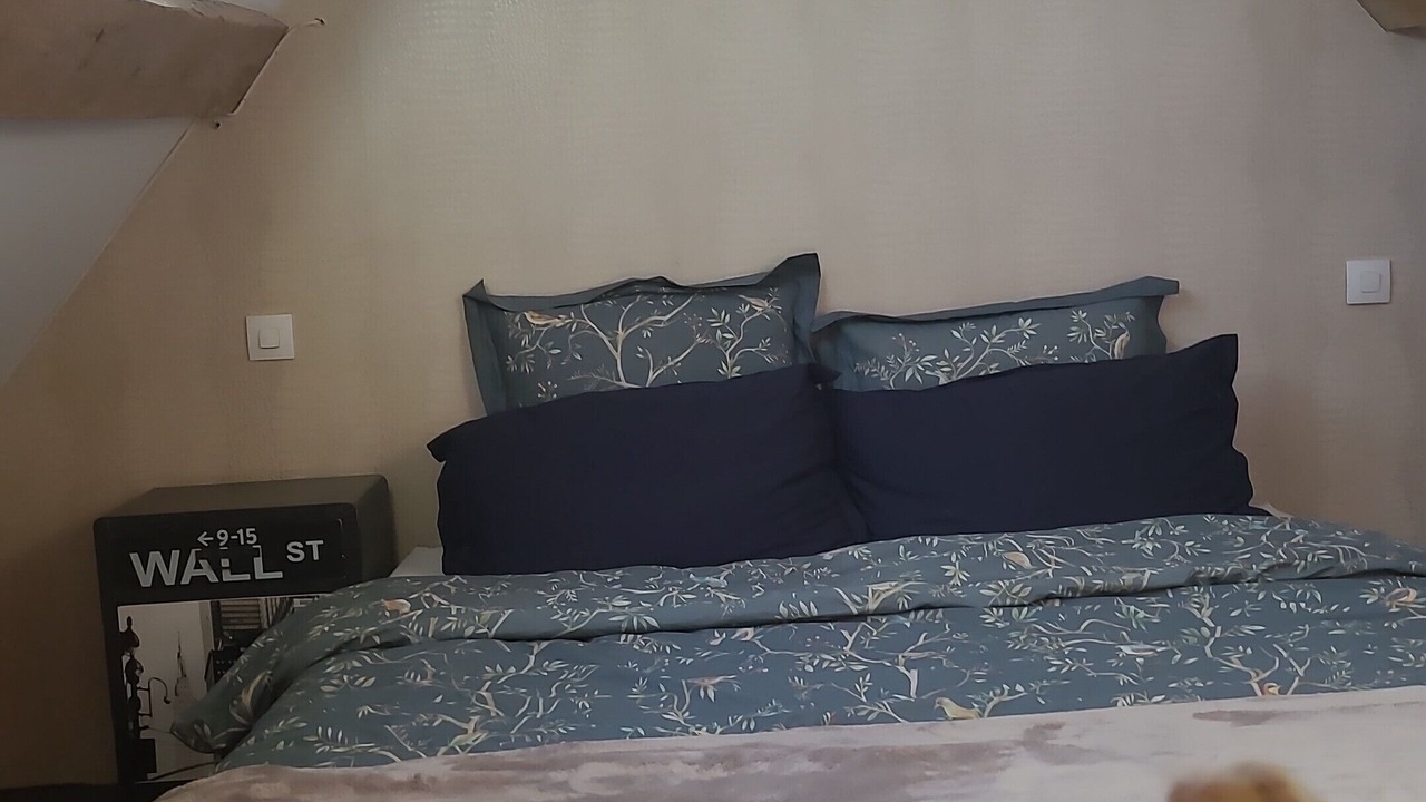 Photo of Bedroom in Villiers-en-Desœuvre