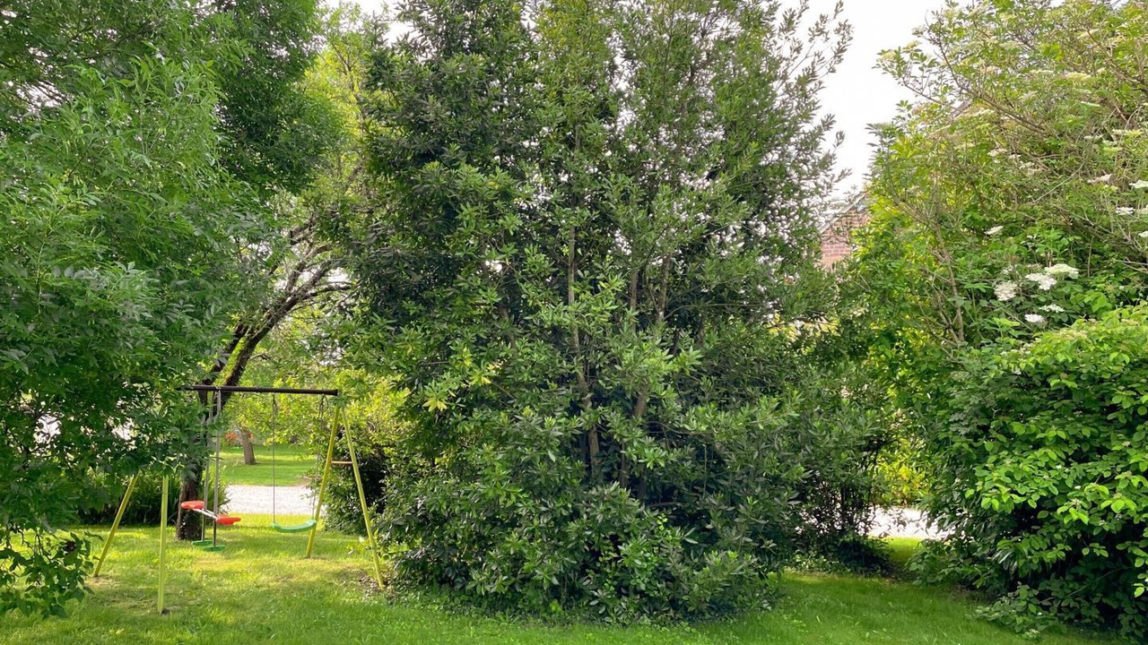 Photo of Outdoor in Danze