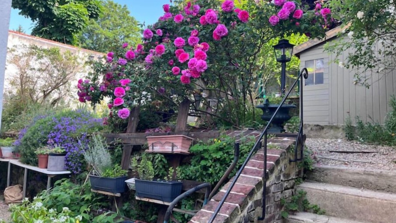 Photo of Outdoor in Sevres
