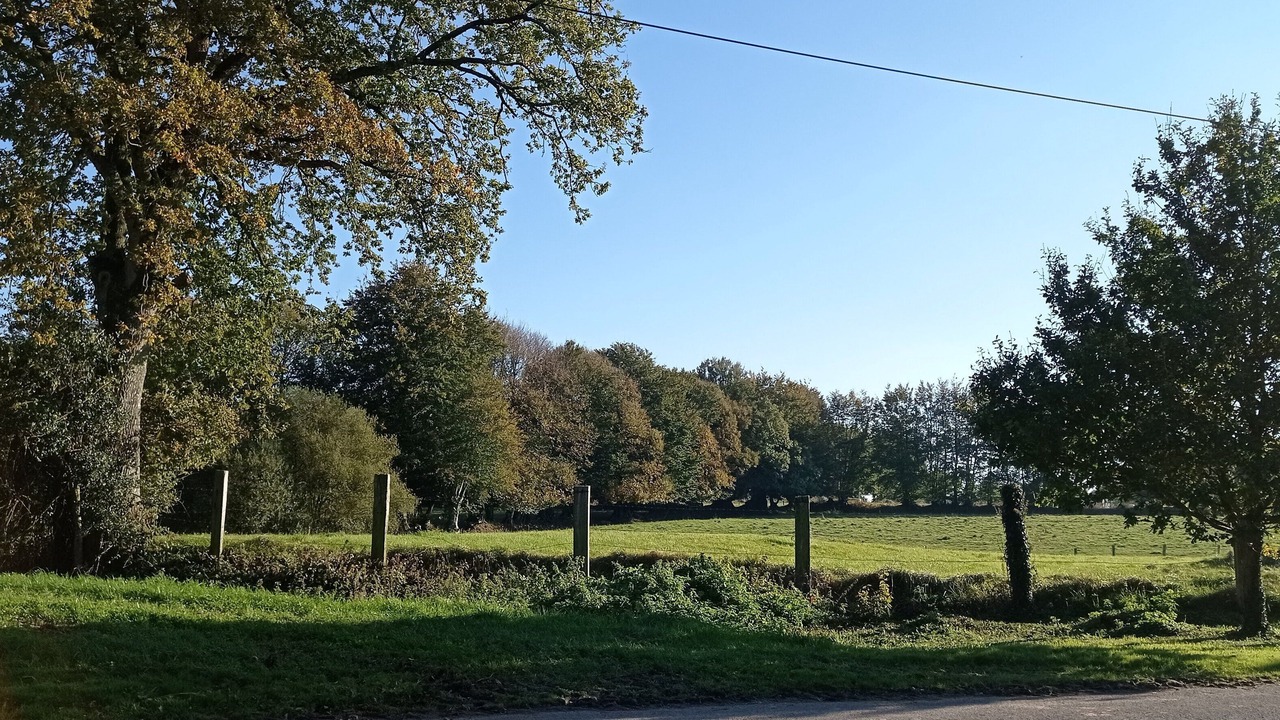 Photo of Outdoor in Mantilly