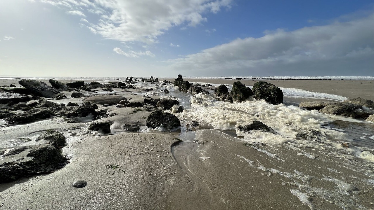 Photo of Others in Bleriot-Plage