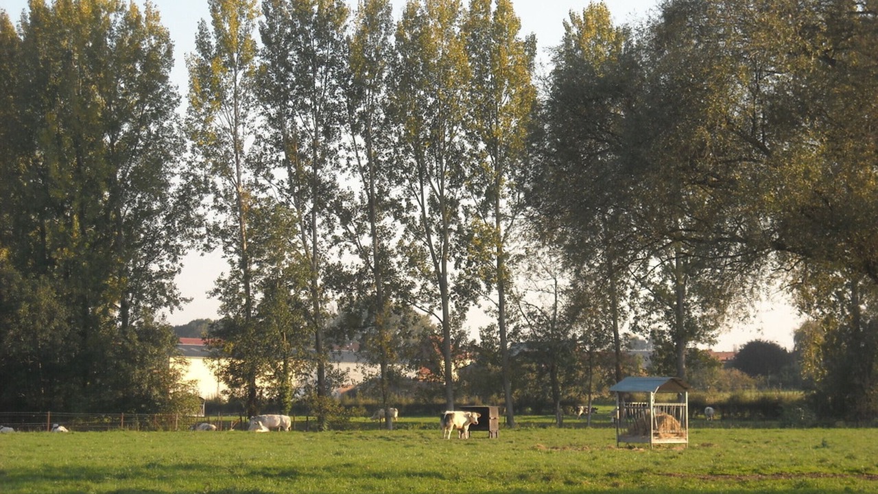 Photo of Outdoor in Verchain-Maugre