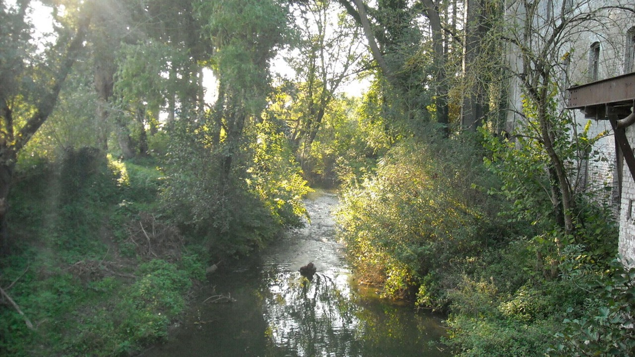 Photo of Others in Verchain-Maugre