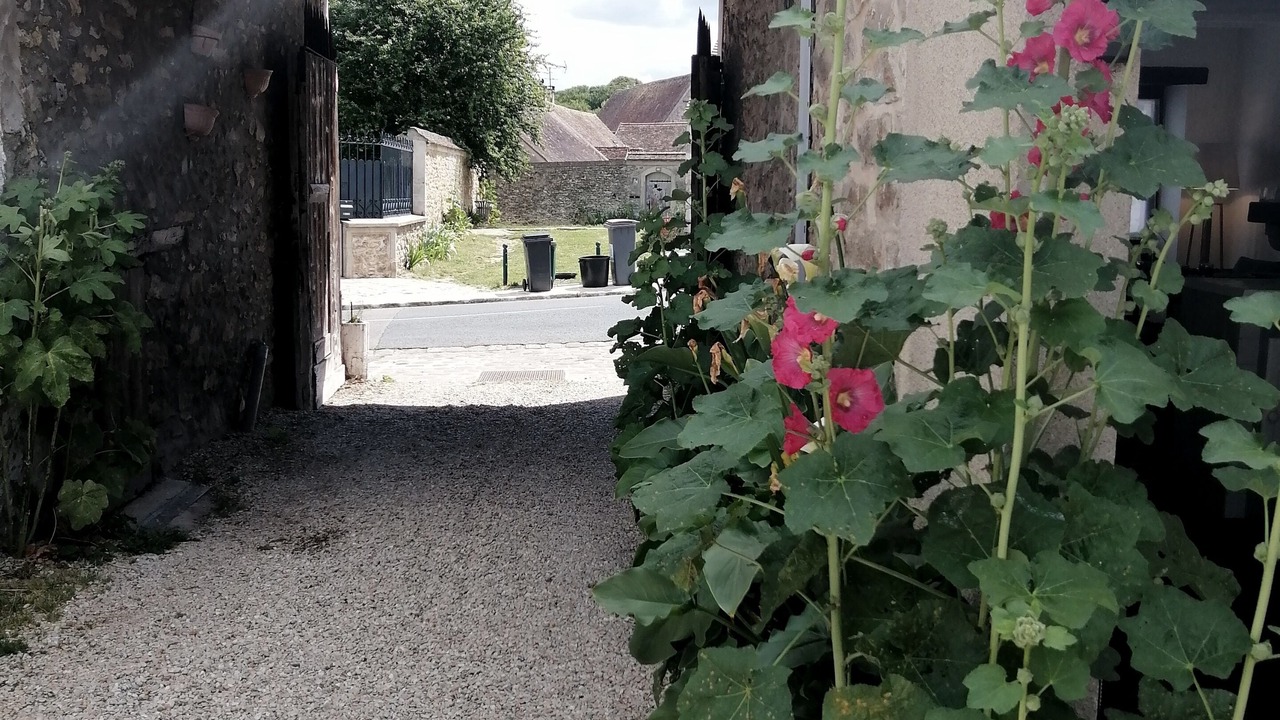 Photo of Outdoor in Maincy