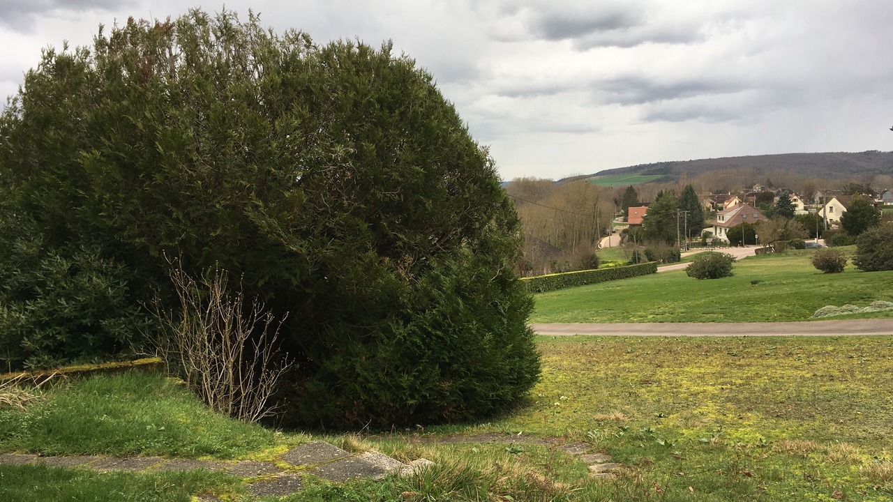 Photo of Outdoor in Tanlay