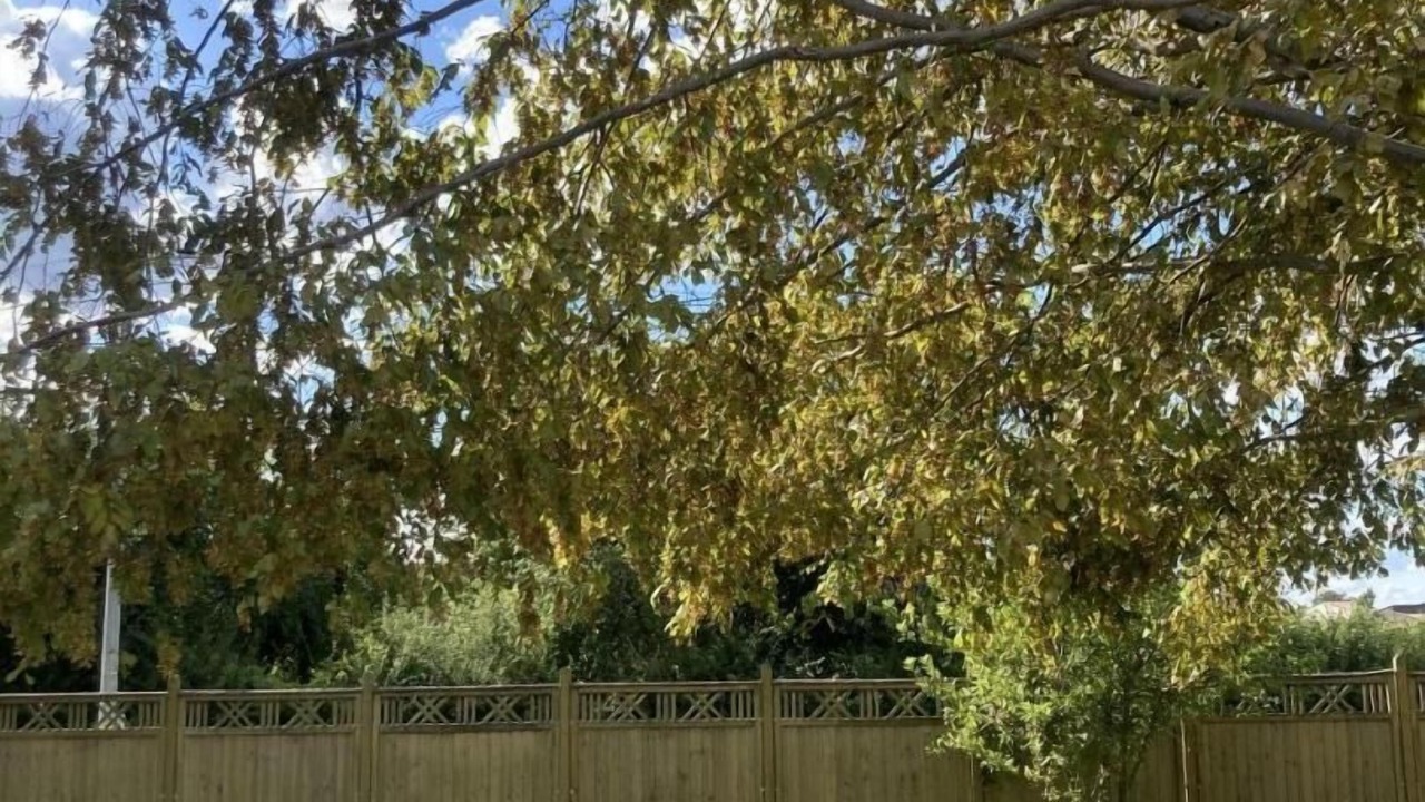 Photo of Patio Balcony in Romenay