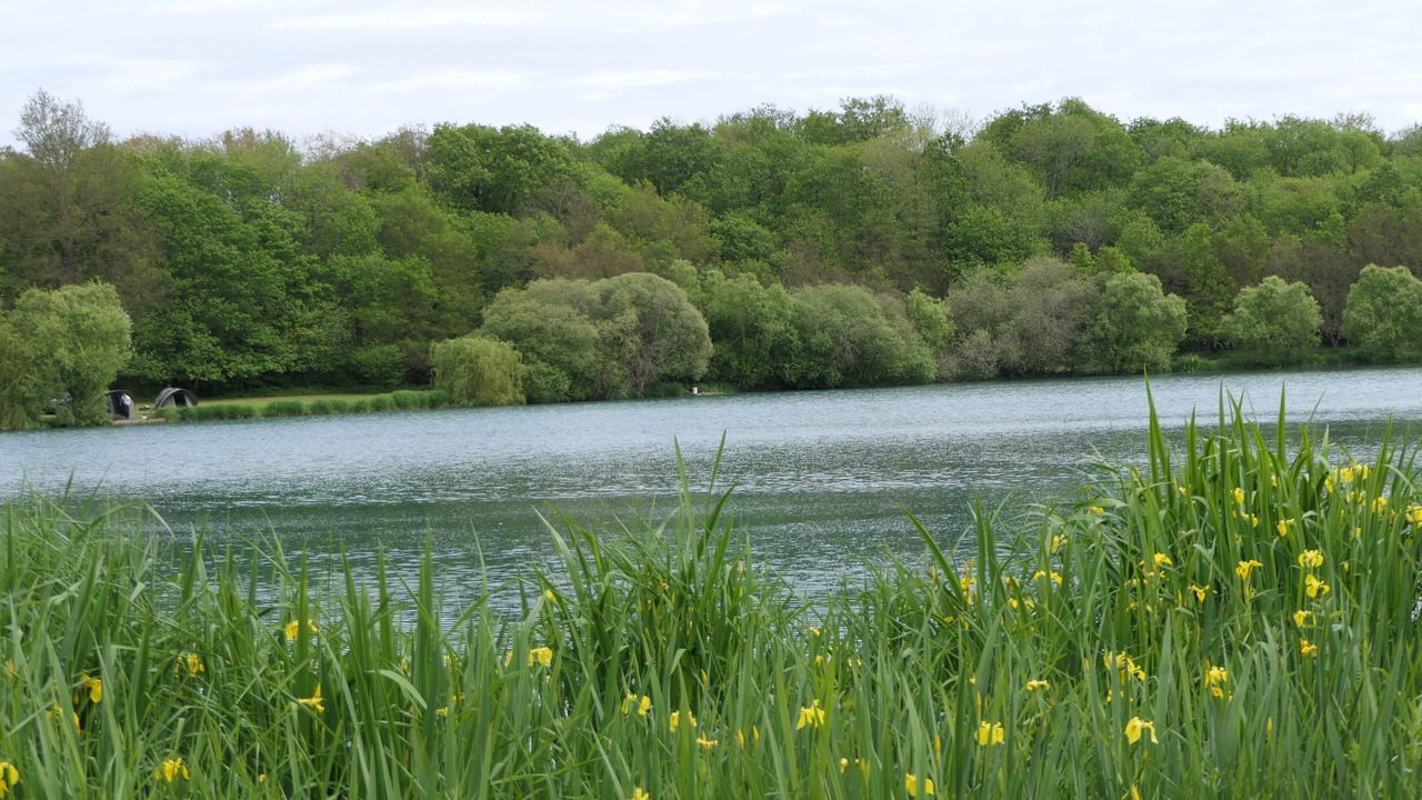 Photo of Others in Vire-en-Champagne