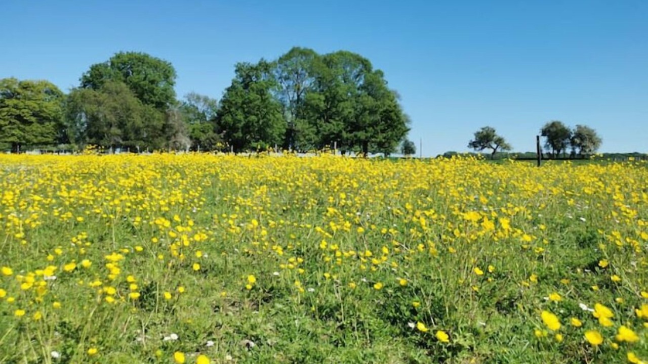 Photo of Outdoor in Saint-Martin-le-Gaillard