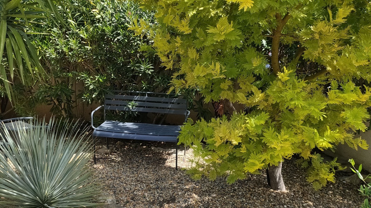 Photo of Outdoor in Roujan