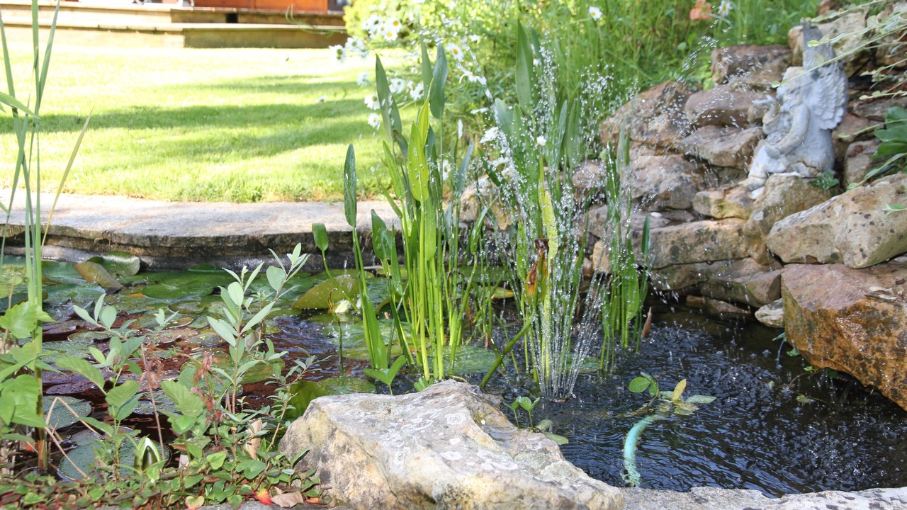 Photo of Outdoor in Vinneuf