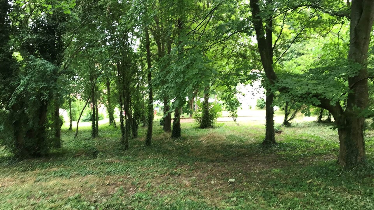 Photo of Others in Miannay