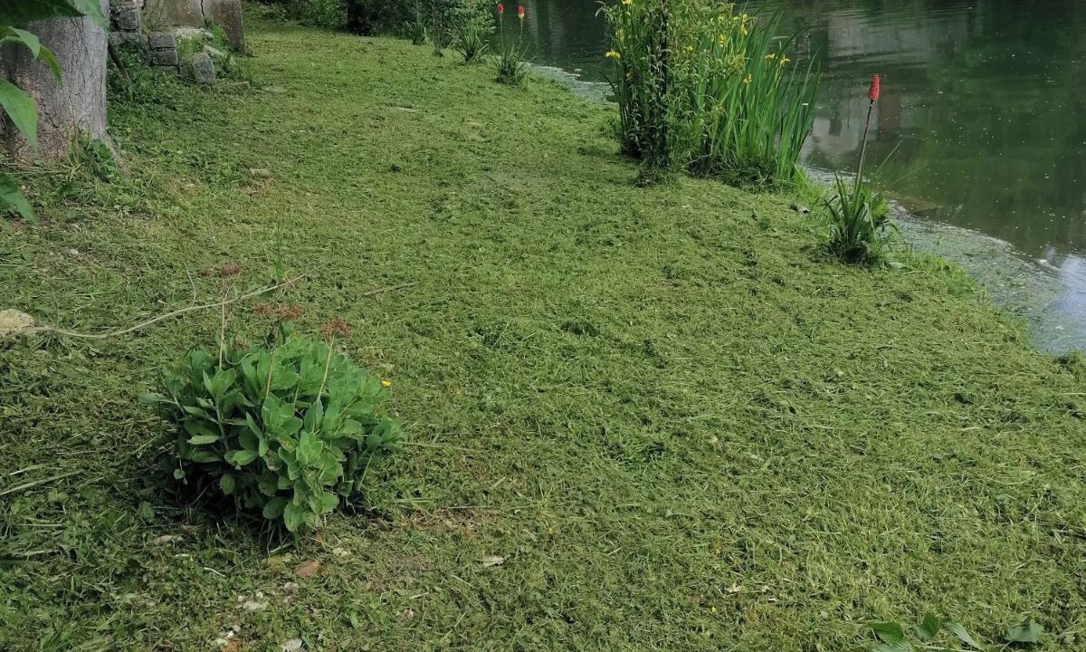 Photo of Outdoor in Verdun