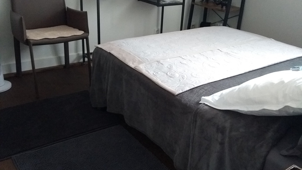 Photo of Bedroom in Plateau - Mont-Valerien