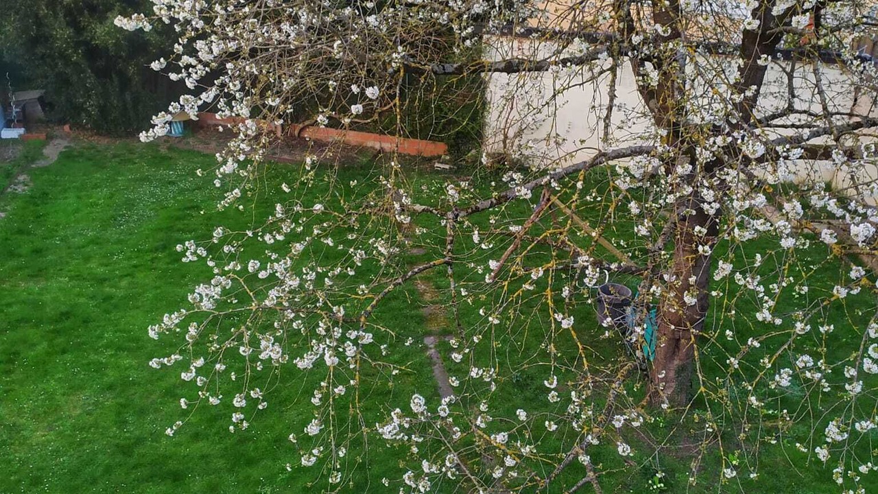 Photo of Outdoor in Vaires-sur-Marne