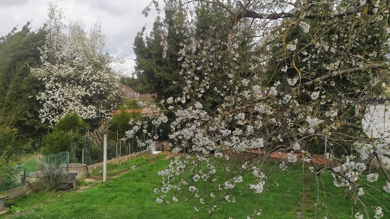 Photo of Outdoor in Vaires-sur-Marne