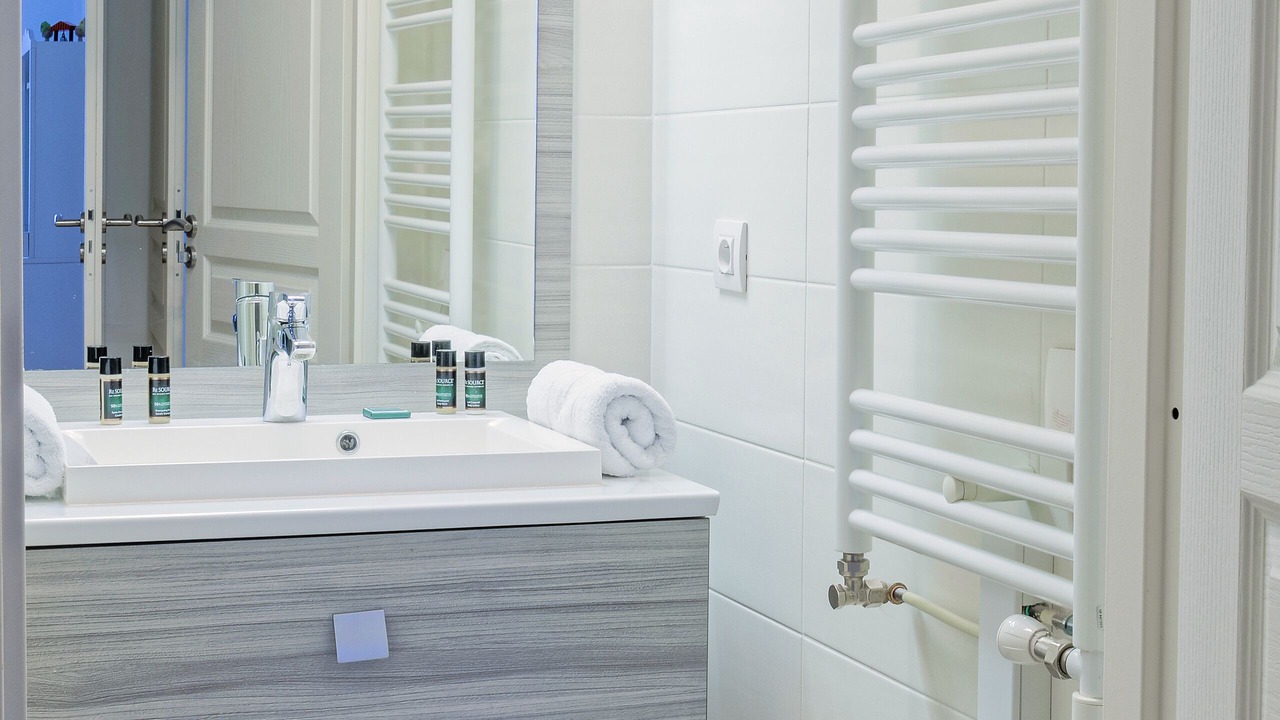 Photo of Bathroom in Notre-Dame