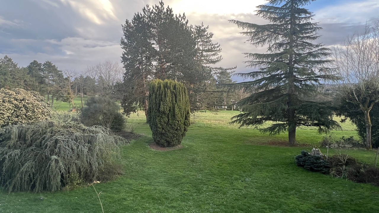 Photo of Outdoor in Saint-Nom-la-Breteche