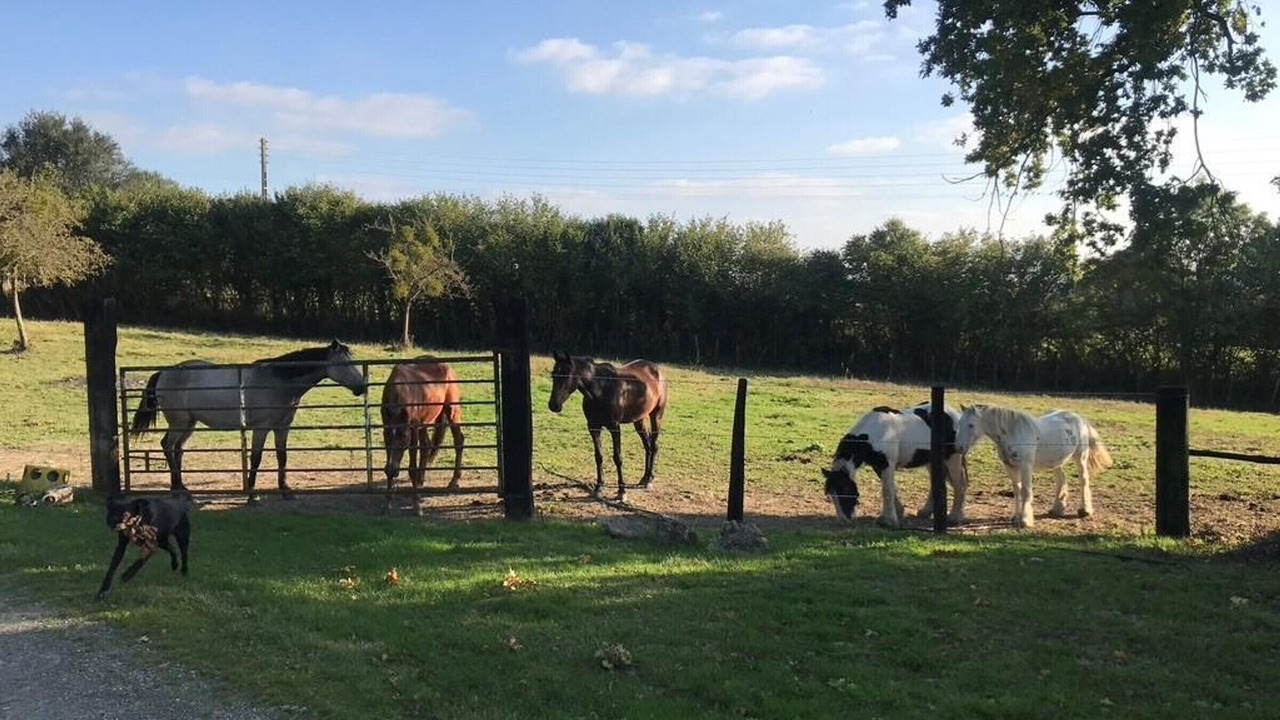 Photo of Others in Belforet-en-Perche