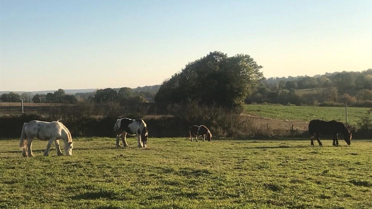 Photo of Others in Belforet-en-Perche