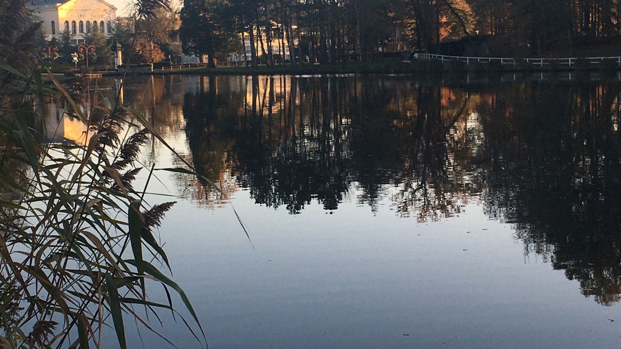 Photo of Others in Forges-les-Eaux