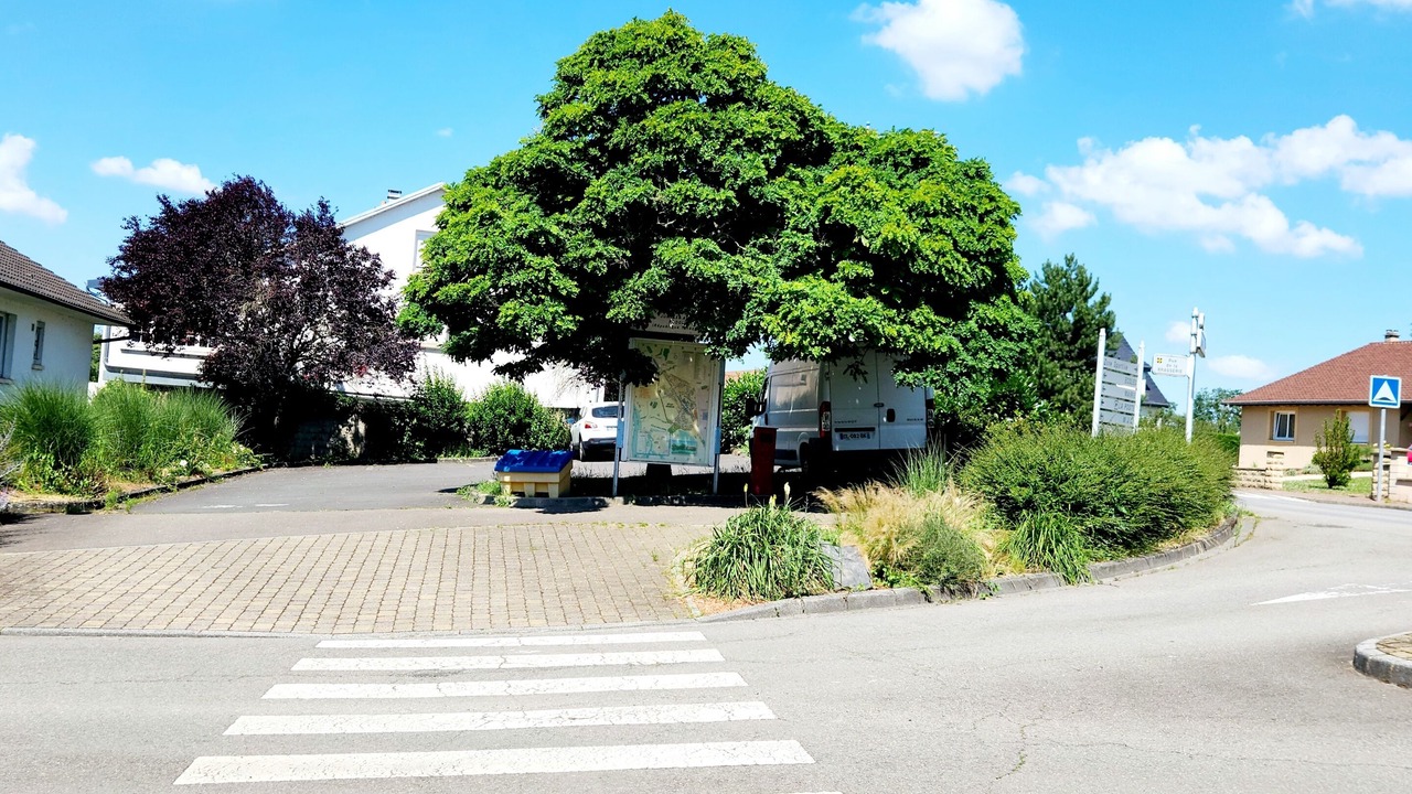 Photo of Outdoor in Ay-sur-Moselle