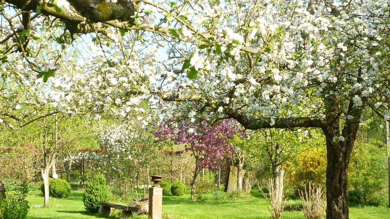 Photo of Outdoor in Uttenhoffen