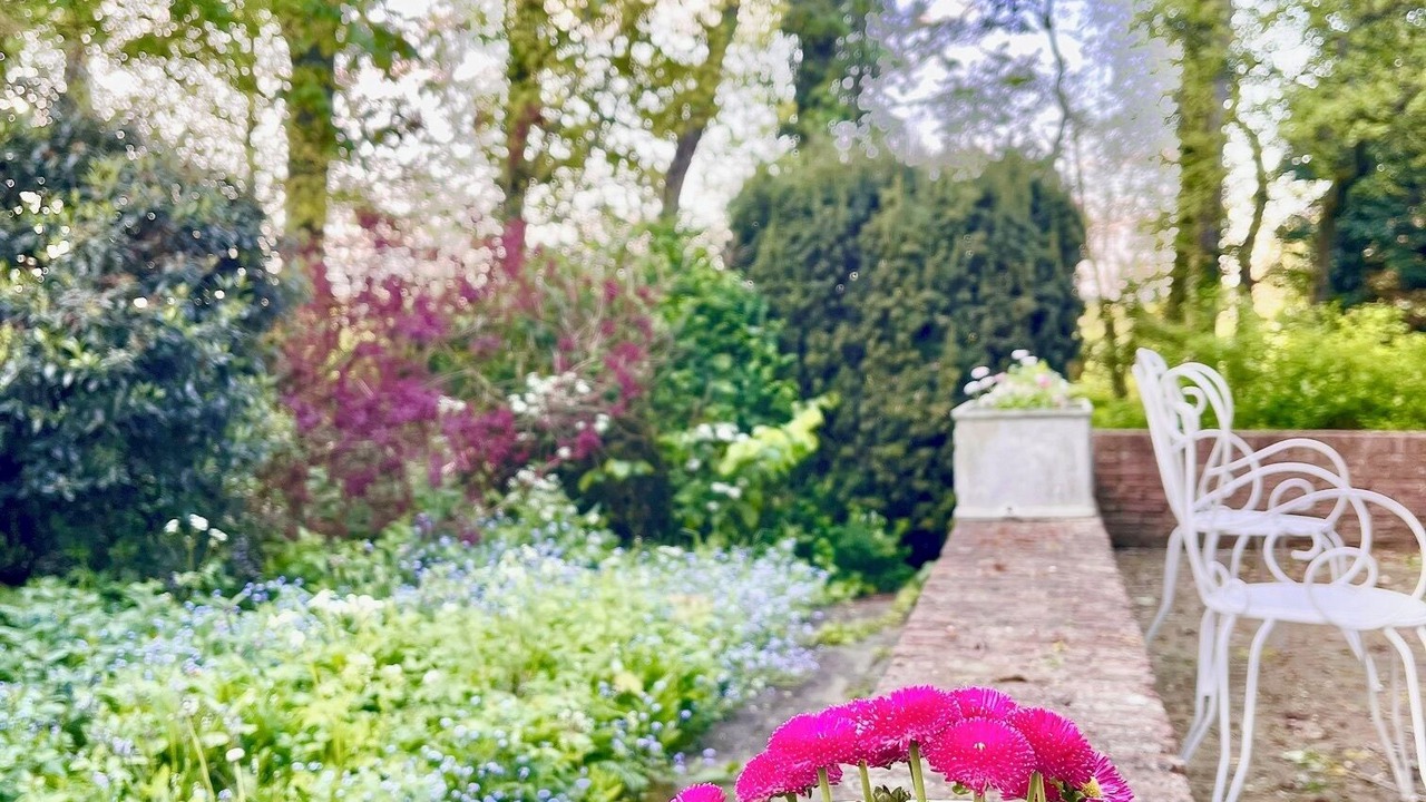 Photo of Outdoor in Roncq