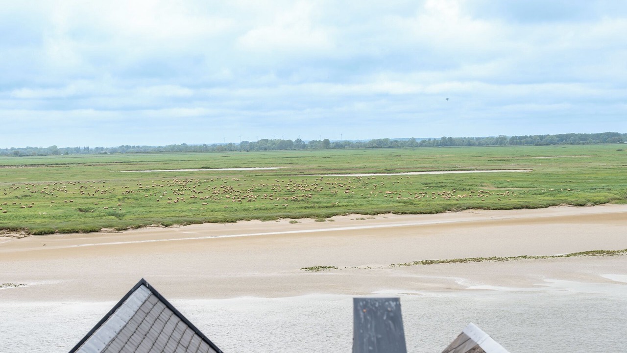 Photo of Others in Moyenneville
