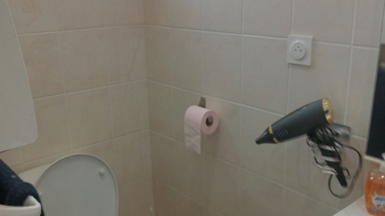 Photo of Bathroom in Dole